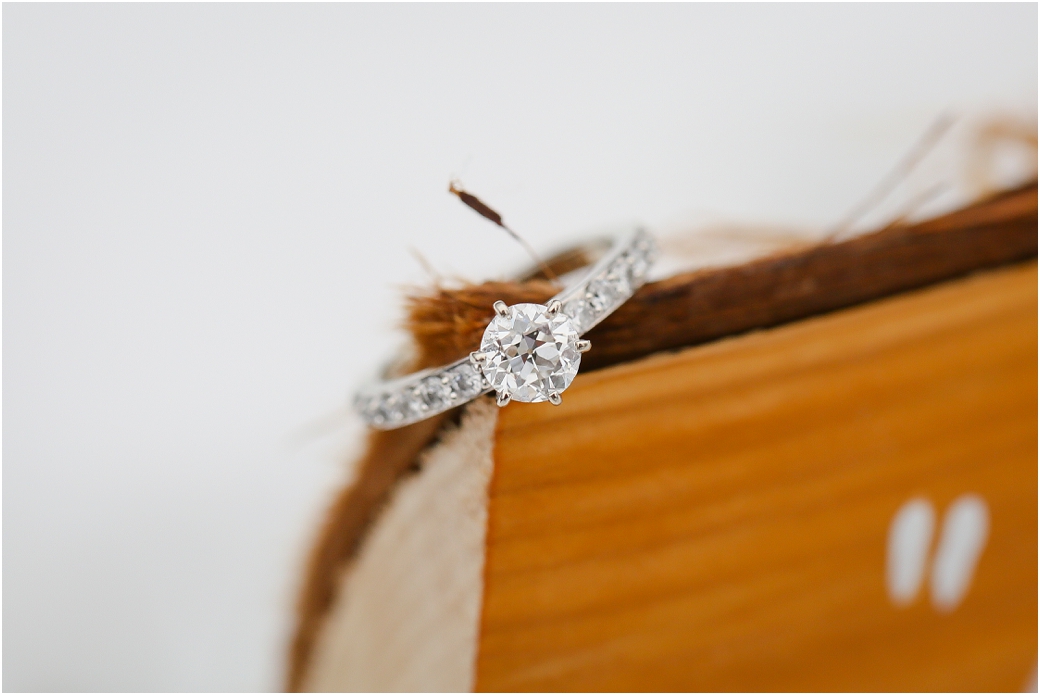 knoxvilleengagementphotographer06.jpg