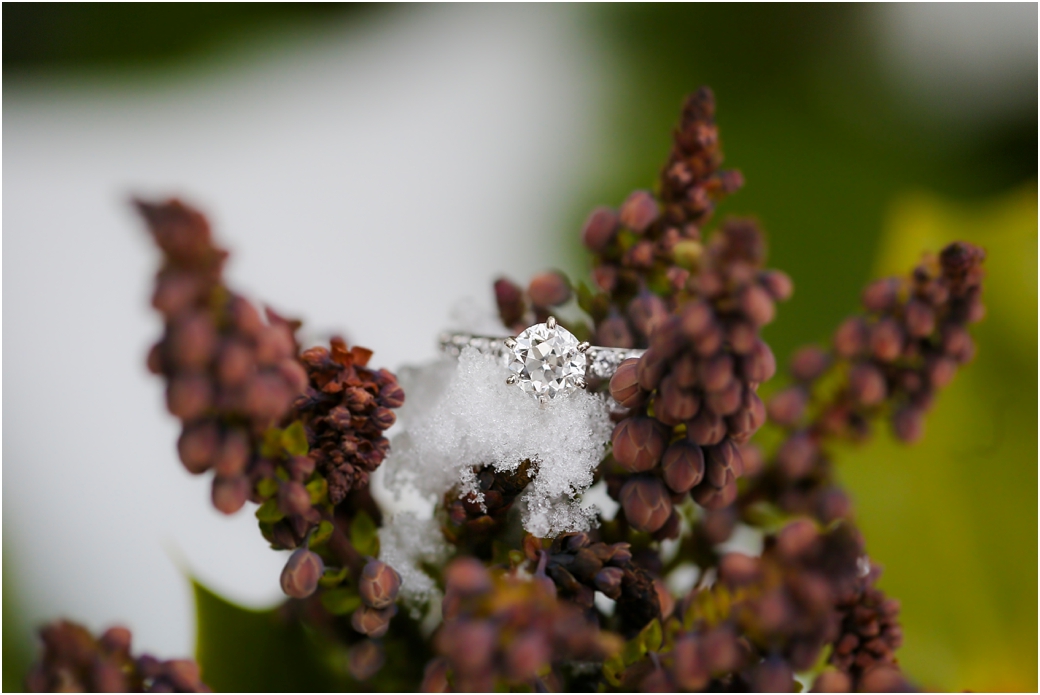 knoxvilleengagementphotographer19.jpg