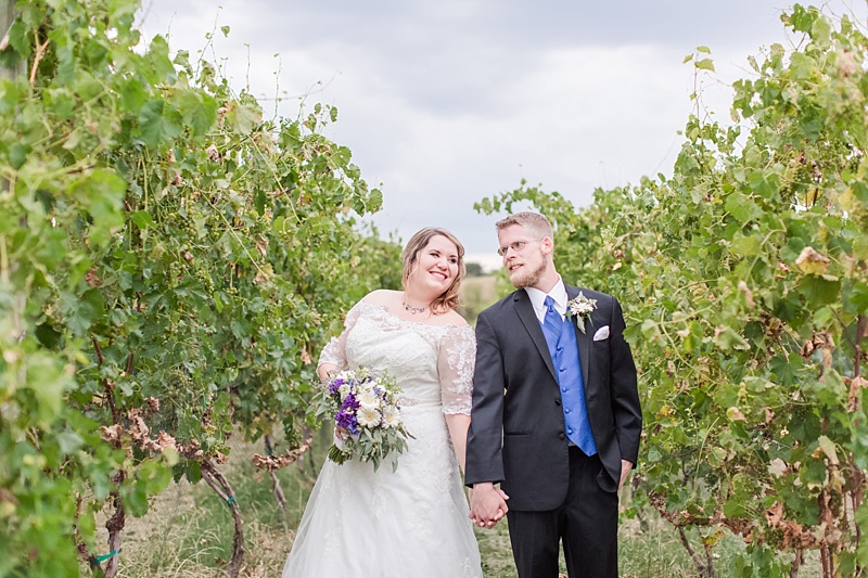 pleasanthillsvineyardwedding081.jpg